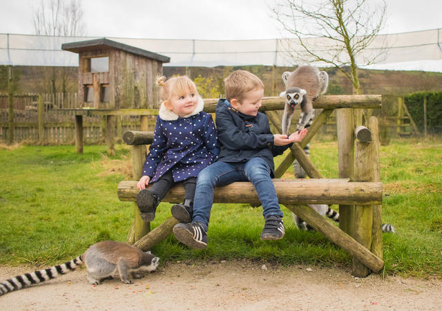 Children at Peak Wildlife Park