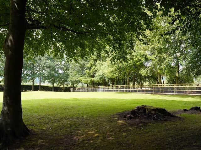 Meadow and dog run area